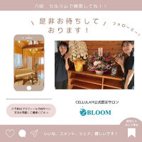 ブログ