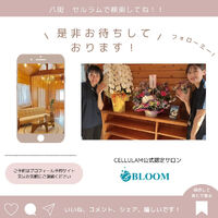 ブログ